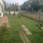 biasci-vivai-giardini-pisa-cascina-Foto0049