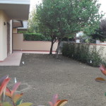 biasci-vivai-giardini-pisa-cascina-SDC10696