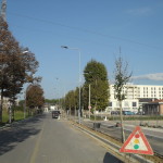 biasci-vivai-giardini-pisa-cascina-SDC10723