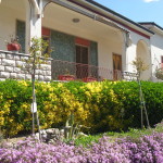 biasci-vivai-giardini-pisa-cascina-SDC10969