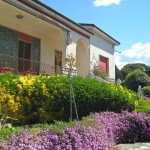 biasci-vivai-giardini-pisa-cascina-SDC10971