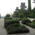 biasci-vivai-giardini-pisa-cascina-SDC11103
